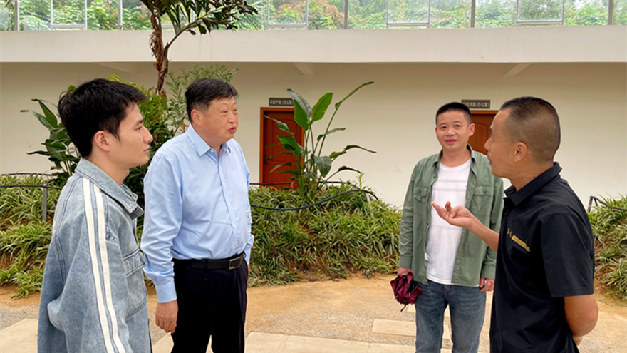 綿投集團黨委書記、董事長李桂炳調(diào)研鄉(xiāng)村振興駐村幫扶工作